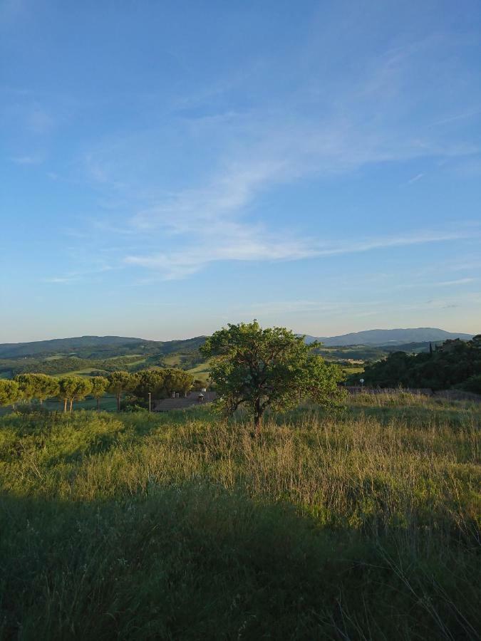 Casa Panorama Daire Casole dʼElsa Dış mekan fotoğraf