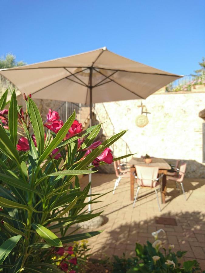 Casa Panorama Daire Casole dʼElsa Dış mekan fotoğraf